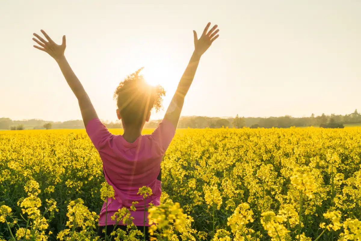 High Focus Treatment Centers