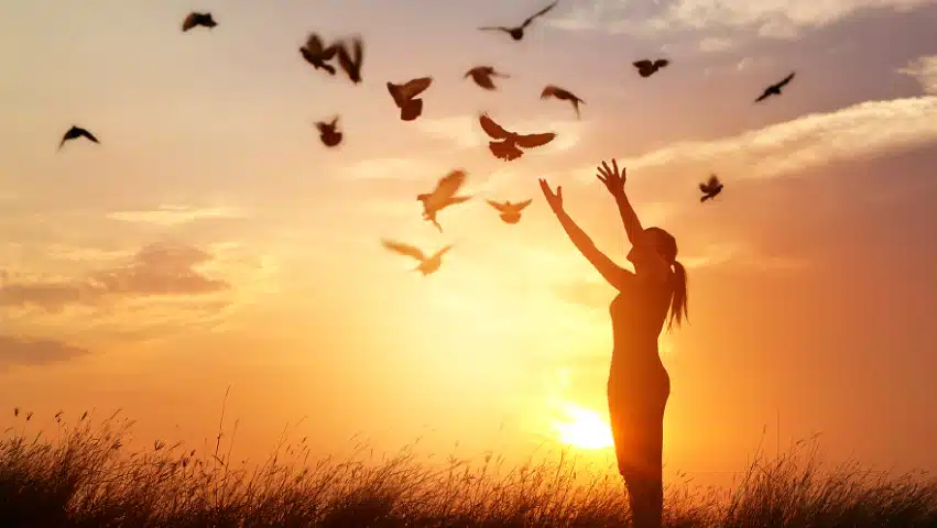 Somerset Treatment Services - Hero Image